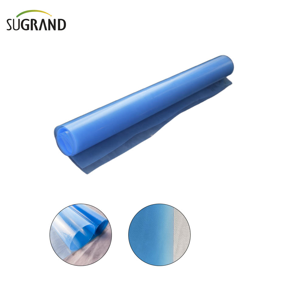 150 Micron-250 Micron UV Clear Polyethylene Greenhouse Plastic Plasting Moviliers