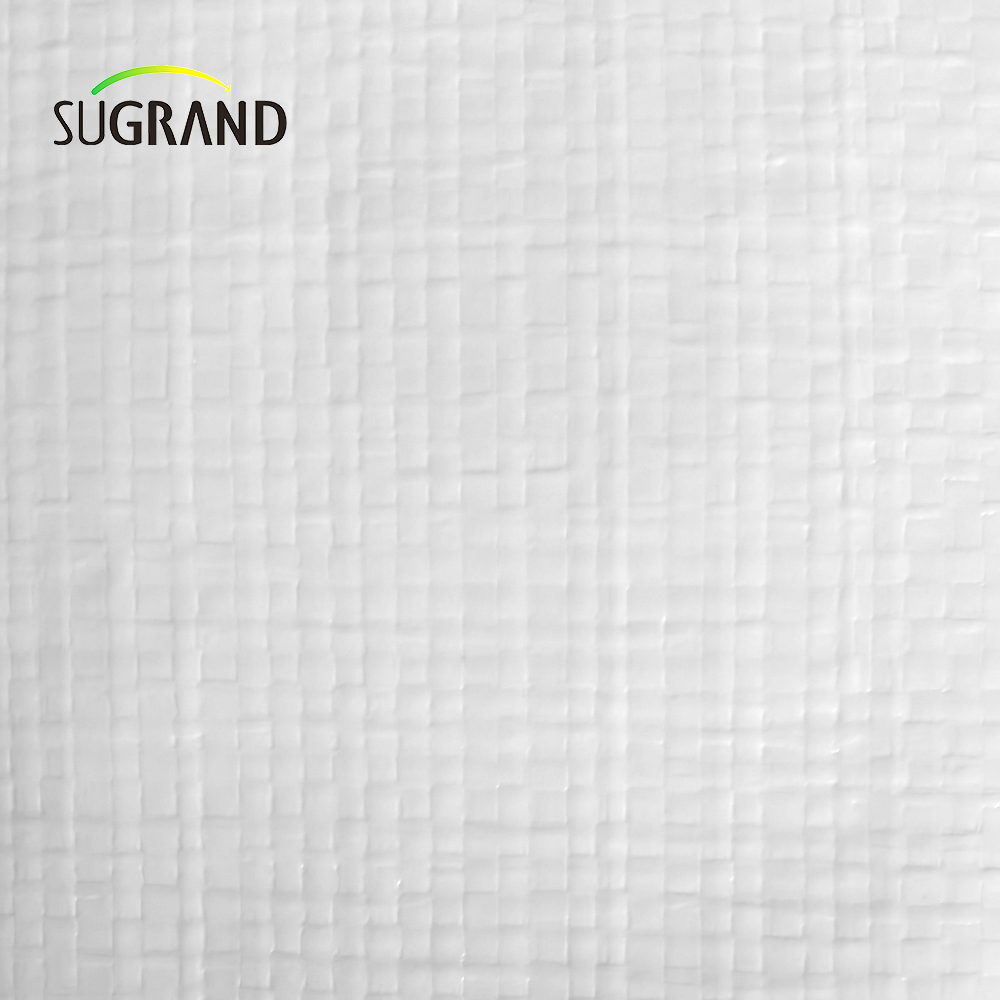 Pe White Tapaulin in Roll for Agriculture Industrial Outdoor Covers