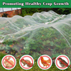 مكافحة الحشرات Netting HDPE 40 50 شبكة بيضاء شفافة