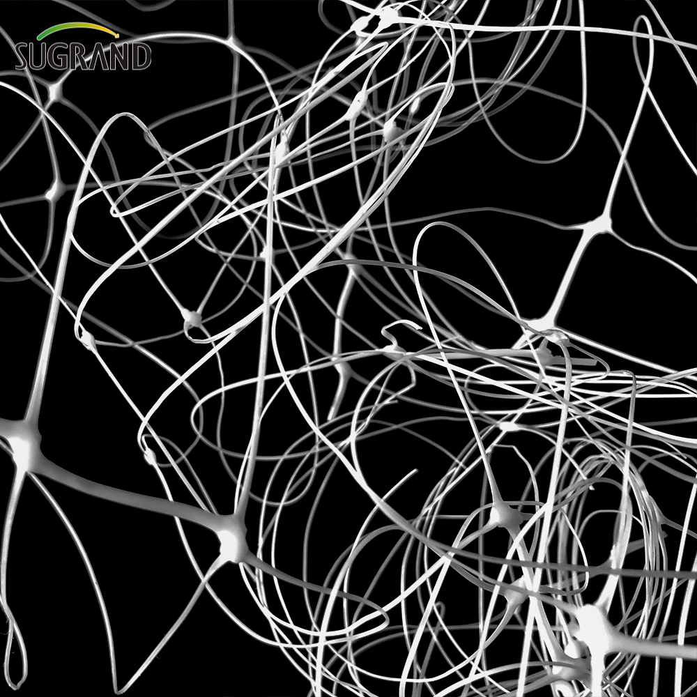 شبكة دعم مصنع بيضاء جديدة HDPE شبكة دعم شبكة شبكة