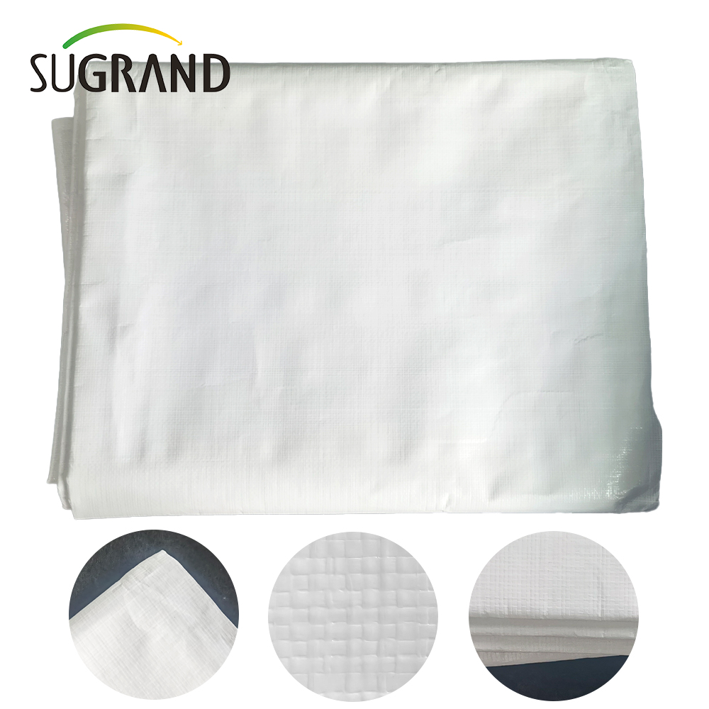 Pe White Tapaulin in Roll for Agriculture Industrial Outdoor Covers
