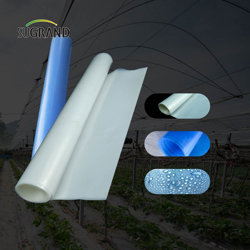 Factory Direct 30Microns - 250microns UV Greenhouse Film Film Film 