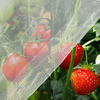 مكافحة الحشرات Netting HDPE 40 50 شبكة بيضاء شفافة