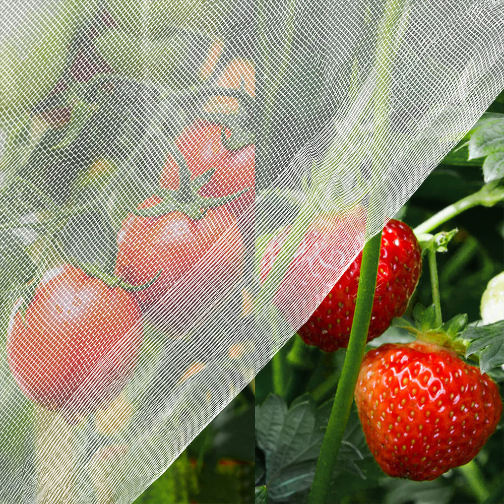 مكافحة الحشرات Netting HDPE 40 50 شبكة بيضاء شفافة
