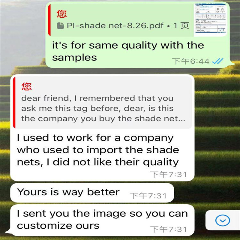 شبكات الظل