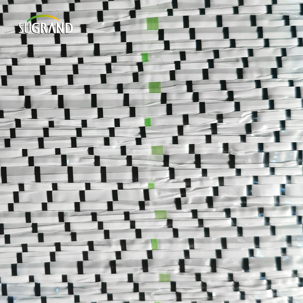 غطاء الأرض الأسود 90GSM/حصيرة الأعشاب