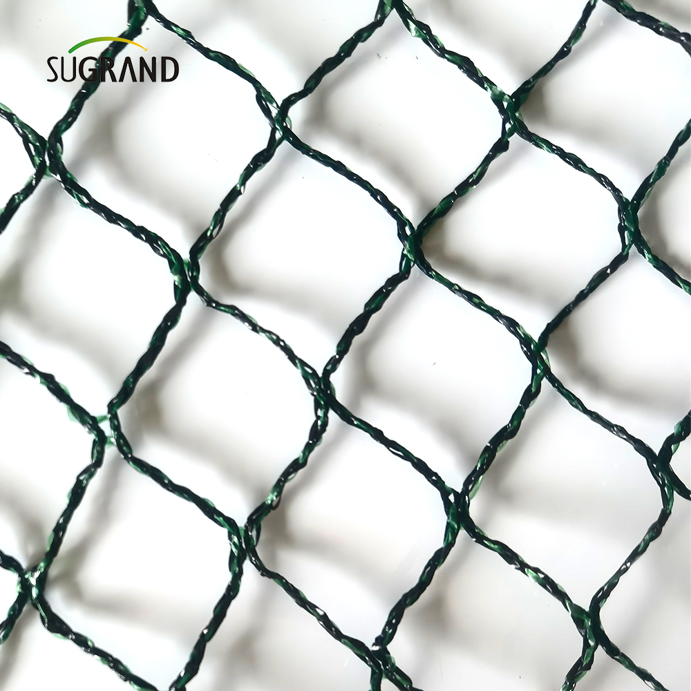 جمهورية تشيكية 100 ٪ HDPE+UV 25GSM 20*20mm شبكة 5*6/12M الزراعة الخضراء السوداء الصيد بطيور الضباب