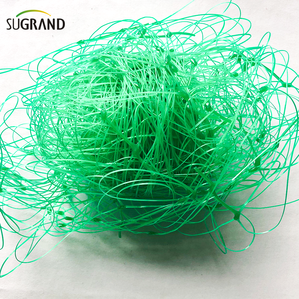 HDPE Net Plant Plant Net Support Net Trellis Trellis Trellis Trellis