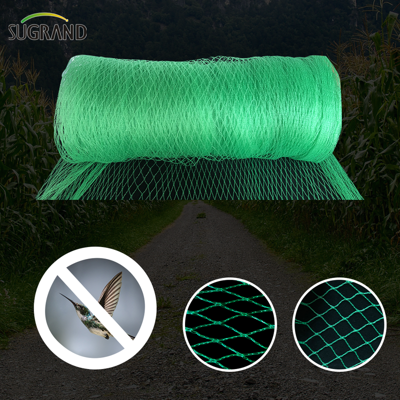 السوق الأرجنتيني Green Bird Protection Net Nylon Mist Bird Nets
